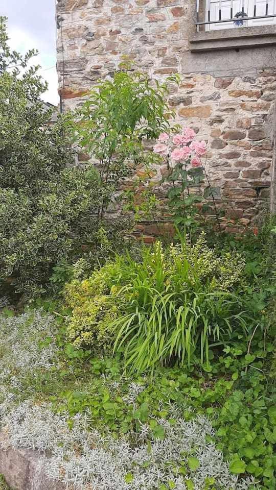 Casa Do Hiebra Alojamiento Rural Ribeira Sacra Castroncelos Esterno foto