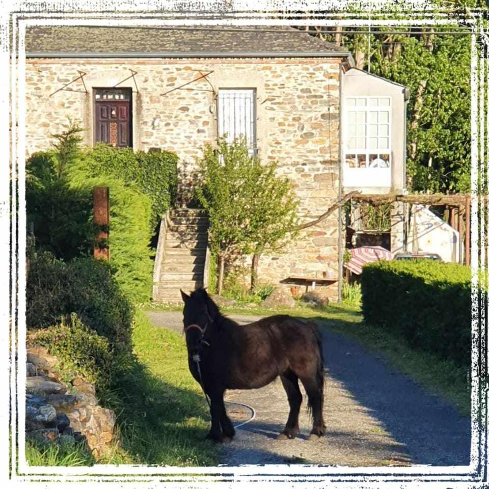 Casa Do Hiebra Alojamiento Rural Ribeira Sacra Castroncelos Esterno foto