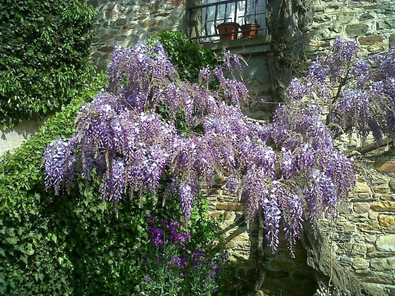 Casa Do Hiebra Alojamiento Rural Ribeira Sacra Castroncelos Esterno foto